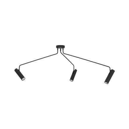 6504.jpg