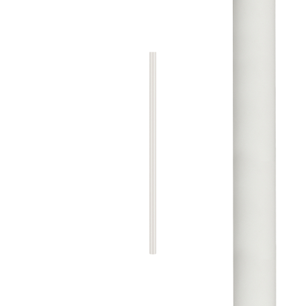 8570.jpg
