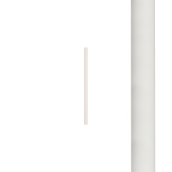 8573.jpg