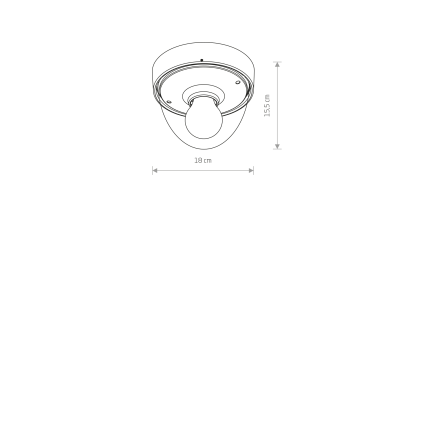 7976-2.jpg
