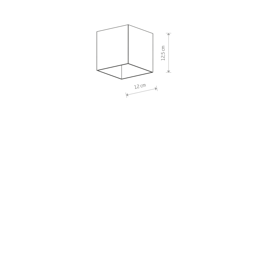 7791-2.jpg