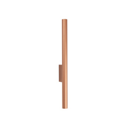 10564.jpg