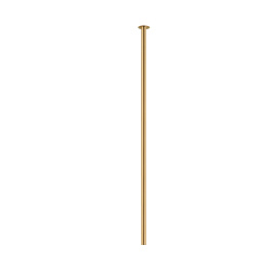 10921.jpg