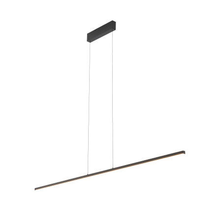 10848-1.jpg