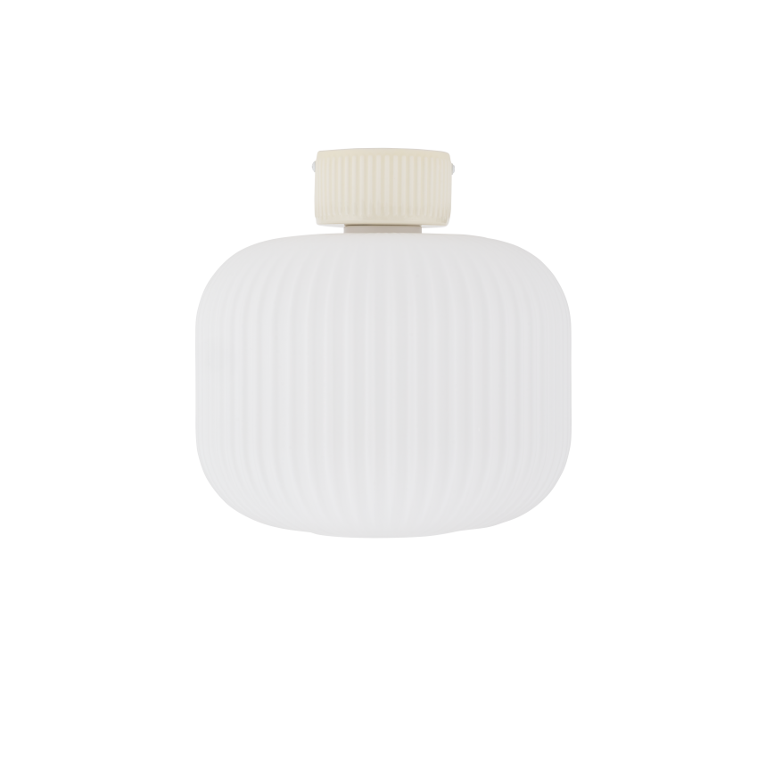 11970.png